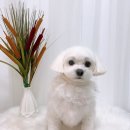 멍앤리치
