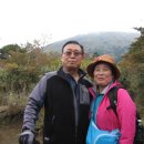 (주)테마여행사 이미지