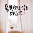 동해시-50 이미지