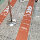 361 | 인천공항에서 상하이 푸동 국제공항(PVG), 아시아나항공 OZ361 탑승 후기