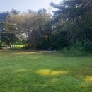 수원-1299 이미지