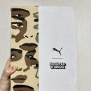 목스(Mox) 이미지