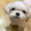 진도돈마당 | 당신이랑 딱 한 번만 스치려다가