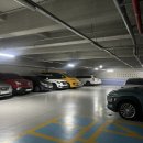 뿌리 | 여자머리잘하는미용실 대구 혁신도시 그라디언트 혁신관 뿌리매직 후기