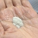 애기야 | 노견 강아지 영양제 울애기쌩쌩 시니어 제품 급여한 후기