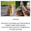 [BBQ 속보] 호주, 5차 대전 임박 이미지