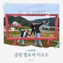 16평 | 증평 벨포레리조트 조식 썰매 루지 놀이동산 맛집 16평 숙박후기