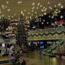 바다의 별 작은도서관-미운영 | 연말 가볼만한곳 | 2025 코엑스 별마당도서관 크리스마스 트리 위치, 포토존, 꿀팁 총정리