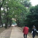 남한강황토불한증막