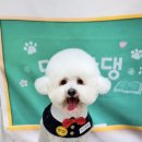 댕그랑댕 이미지