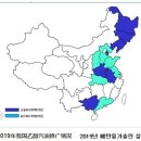 자동차 신 에너지 분석 (N0 1)- 연료자동차 이미지