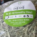 채릇채릇 네이버블로그