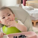 도선농장 이미지