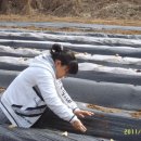 희복농장 이미지