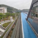 동해선거제해맞이역 이미지