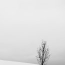 오로지의원 이미지