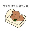 용산동 사관학원 앞 | 청년취업사관학교 새싹 프로그램 신청 및 선정 후기