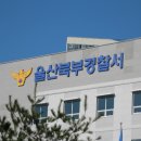 억새2축구장 이미지