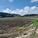 삼봉3리 마을회관 이미지