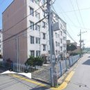 금오약국 이미지