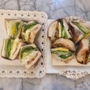 (주)미나투어 이미지