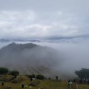 삼덕공원 이미지