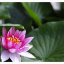 괘릉초등학교 이미지