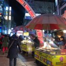 프로애견사 이미지