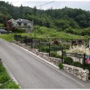 양평부자공인중개사사무소 이미지