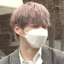 강비디오 이미지