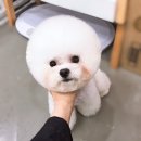 쓰담케어 이미지