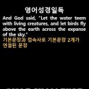 오늘의 '영어성경 쇼츠'(창 1-20강) 창세기 1장 20절(Genesis 1:20) 이미지
