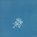 세동한의원 이미지