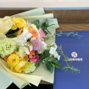 [대외활동] 신한투자증권 대학생 팬슈머 클럽 쏠-루션 2기 서류부터 면접까지 최종합격 후기