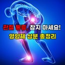 셀엠에스엠 | 관절 통증 완화에 도움을 주는 핵심 성분 8가지 상세 정리