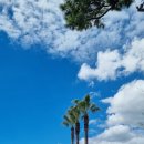 루시아호텔 이미지