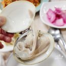 GR(부안군)-[변산로]-상-12 | [공지] 변산 소노벨 근처 맛집 새전주횟집. 격포해수욕장 백합, 회정식 즐기기