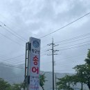 금산송어회집 이미지