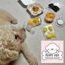 퍼피팝(PUPPY POP) 이미지