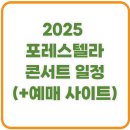포레스텔라 대구 서울 콘서트 2025 (+일정 장소 가격 예매 총정리)