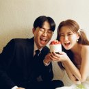 도트맨션