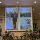 거울보는 강아지 | 웨딩거울 후기! 본식 포토테이블 미러온티 커스텀 주문제작