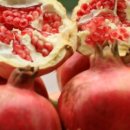 고흥1농장 이미지