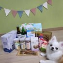 더치치 이미지