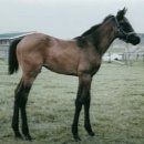 감천목장 이미지