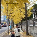 퀼트(취미야간) 이미지