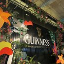 더블린 여행 필수코스 기네스 스토어하우스(Guinness Storehouse) STOUTie 후기