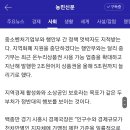 지역화폐 예산 전액 삭감되나…“지역경제 타격 우려 높아” 이미지