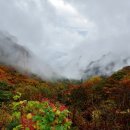 MK공인중개사사무소 이미지