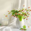 주홍글씨 이미지